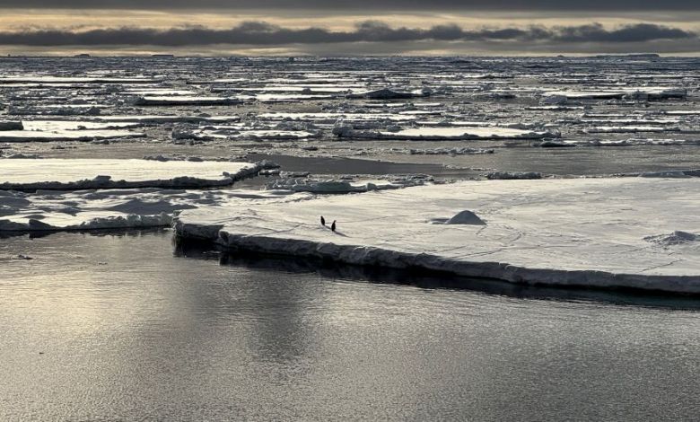 A ‘triple whammy’ of chaos has triggered a downward spiral in Antarctica, scientists discover A ‘triple whammy’ of chaos has triggered a downward spiral in Antarctica, scientists discover