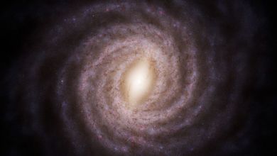 Unusual stars may be the leftovers of ancient galaxy gobbled up by the Milky Way Unusual stars may be the leftovers of ancient galaxy gobbled up by the Milky Way