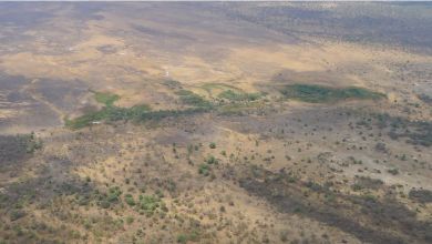 Scientists find clues that a new tectonic plate boundary is forming Scientists find clues that a new tectonic plate boundary is forming