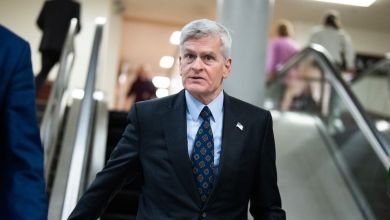 Trump’s drive for political revenge faces a key test in Saturday’s Louisiana Senate primary Trump’s drive for political revenge faces a key test in Saturday’s Louisiana Senate primary