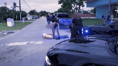 Video shows ICE officers arrest alleged MS-13 gang member described as ‘known suspected terrorist’ in Florida Video shows ICE officers arrest alleged MS-13 gang member described as ‘known suspected terrorist’ in Florida