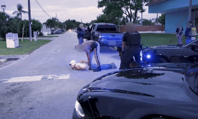Video shows ICE officers arrest alleged MS-13 gang member described as ‘known suspected terrorist’ in Florida Video shows ICE officers arrest alleged MS-13 gang member described as ‘known suspected terrorist’ in Florida