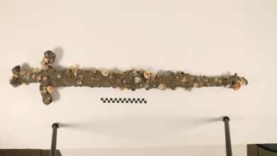 Haifa University student discovers 12th century Crusader sword off of Israel’s northern coast Haifa University student discovers 12th century Crusader sword off of Israel’s northern coast