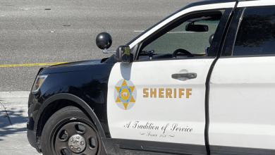 L.A. County Sheriff’s Department advising against fake ‘traffic court case’ scam texts L.A. County Sheriff’s Department advising against fake ‘traffic court case’ scam texts