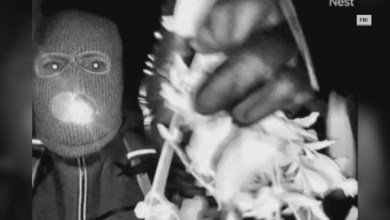 Pima County sheriff believes Nancy Guthrie suspect could strike again Pima County sheriff believes Nancy Guthrie suspect could strike again