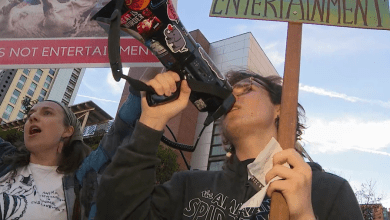 San Diego Rodeo met with protests, allegations of animal abuse San Diego Rodeo met with protests, allegations of animal abuse