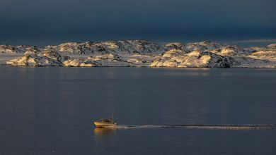 Putin says who owns Greenland is of no concern to Russia, says it might be worth billion Putin says who owns Greenland is of no concern to Russia, says it might be worth billion