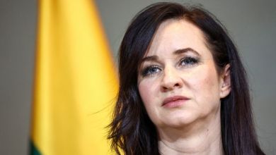 Drone that crashed in Lithuania came from Ukraine, PM says Drone that crashed in Lithuania came from Ukraine, PM says