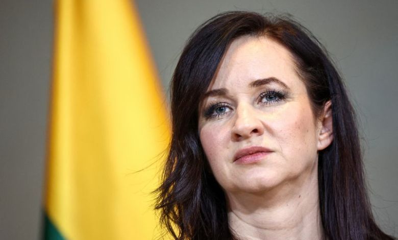 Drone that crashed in Lithuania came from Ukraine, PM says Drone that crashed in Lithuania came from Ukraine, PM says