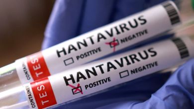 Virginia monitoring traveler linked to Hantavirus-hit cruise ship, says resident is low-risk Virginia monitoring traveler linked to Hantavirus-hit cruise ship, says resident is low-risk