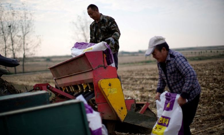 Explainer-How does the Iran war affect fertiliser supplies, prices and food security? Explainer-How does the Iran war affect fertiliser supplies, prices and food security?