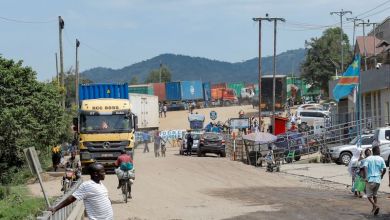 WHO says 906 suspected cases and 223 suspected deaths from Bundibugyo strain of Ebola WHO says 906 suspected cases and 223 suspected deaths from Bundibugyo strain of Ebola