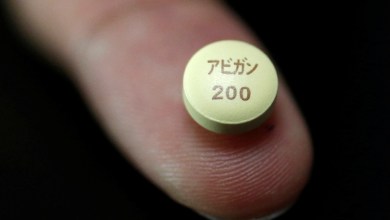 Britain gets experimental drug from Japan to bolster hantavirus response Britain gets experimental drug from Japan to bolster hantavirus response