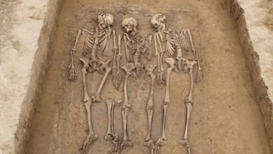 Genome study reveals what happened after the Roman Empire fell Genome study reveals what happened after the Roman Empire fell
