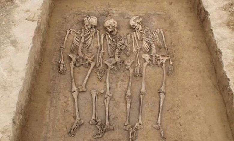 Genome study reveals what happened after the Roman Empire fell Genome study reveals what happened after the Roman Empire fell
