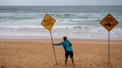 Australian boy killed by shark in Sydney Harbour honoured at Bondi Beach Australian boy killed by shark in Sydney Harbour honoured at Bondi Beach