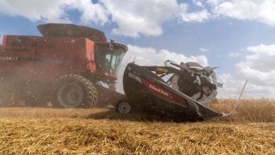 USDA winter wheat ratings hit 4-year low; corn 57% planted, soy 49% done USDA winter wheat ratings hit 4-year low; corn 57% planted, soy 49% done