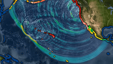 Mega-Tsunami Threat Looms as Cascadia Fault Builds Toward 9.0 Quake, Experts Warn Mega-Tsunami Threat Looms as Cascadia Fault Builds Toward 9.0 Quake, Experts Warn