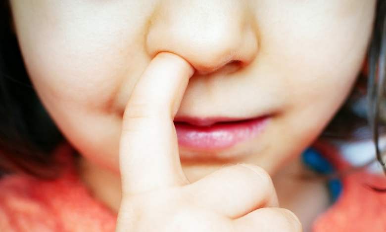 Nose-Picking May Have a Surprise Link With Alzheimer’s, Study in Mice Suggests Nose-Picking May Have a Surprise Link With Alzheimer’s, Study in Mice Suggests