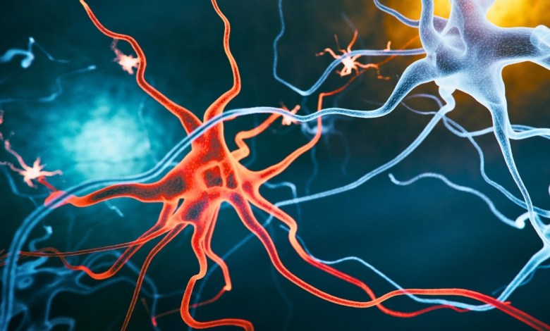 New Alzheimer’s Treatment Strategy Reverses Cognitive Decline in Mice New Alzheimer’s Treatment Strategy Reverses Cognitive Decline in Mice