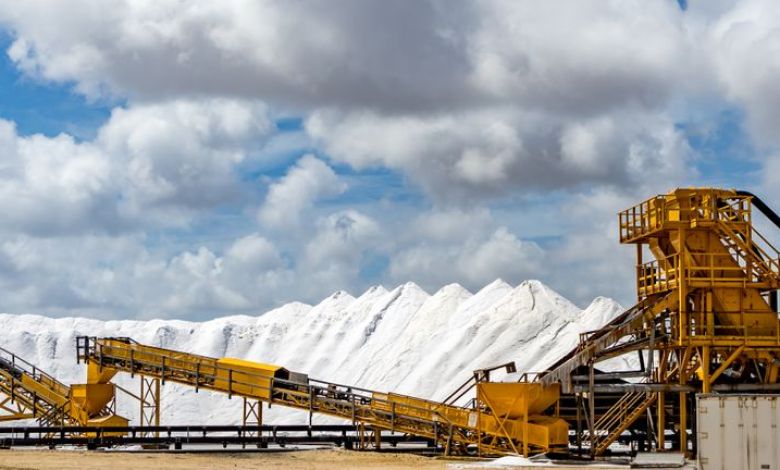 MP Materials Magnet Ramp Highlights Growth Potential And Texas Execution Risks MP Materials Magnet Ramp Highlights Growth Potential And Texas Execution Risks