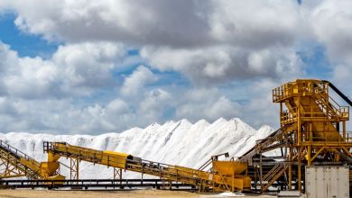 MP Materials Magnet Ramp Highlights Growth Potential And Texas Execution Risks MP Materials Magnet Ramp Highlights Growth Potential And Texas Execution Risks
