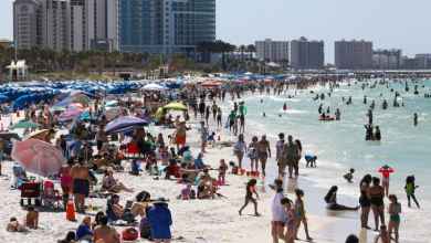 Smelly, lazy and slutty? ChatGPT shows ‘bias’ to Tampa Bay and Florida Smelly, lazy and slutty? ChatGPT shows ‘bias’ to Tampa Bay and Florida