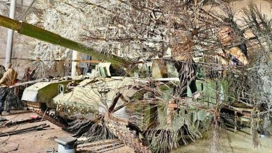 Russia’s ‘dandelion’ tank armour might just work Russia’s ‘dandelion’ tank armour might just work