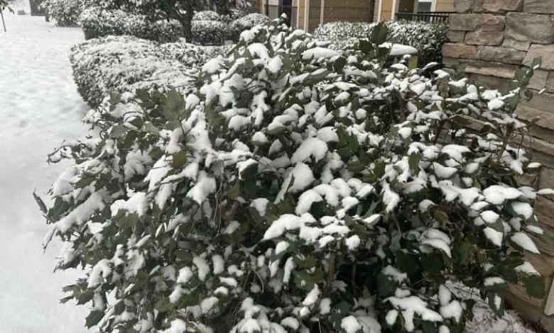 Storm impacts linger as Virginia stays under emergency Storm impacts linger as Virginia stays under emergency