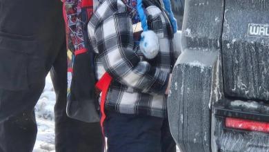 ICE detains five-year-old Minnesota boy as he came home, say school officials ICE detains five-year-old Minnesota boy as he came home, say school officials