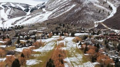 ‘I’ve never seen a winter like this’ ‘I’ve never seen a winter like this’