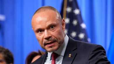Bongino says he planted fake details to catch ‘snakes’ in FBI Bongino says he planted fake details to catch ‘snakes’ in FBI