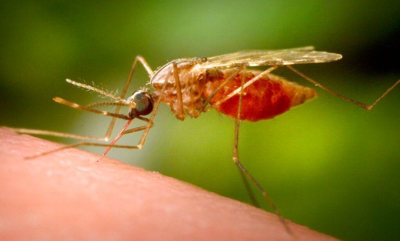 An ancient disease is making a comeback, and every American should be concerned An ancient disease is making a comeback, and every American should be concerned