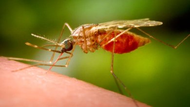 An ancient disease is making a comeback, and every American should be concerned An ancient disease is making a comeback, and every American should be concerned