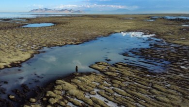 I’m a space scientist. Utah is subsidizing my research with its health. I’m a space scientist. Utah is subsidizing my research with its health.