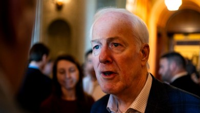 Cornyn remains defiant, says he doesn’t ‘expect’ he’ll ‘have to deal’ with backing Paxton Cornyn remains defiant, says he doesn’t ‘expect’ he’ll ‘have to deal’ with backing Paxton