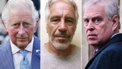 King Charles has ‘profound concern’ over claims Andrew shared confidential reports with Epstein King Charles has ‘profound concern’ over claims Andrew shared confidential reports with Epstein