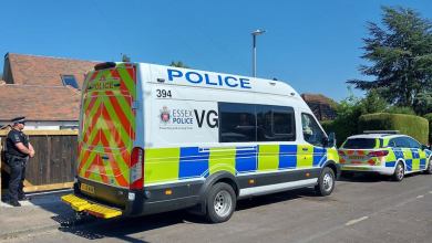 Man facing jail after pleading guilty to animal cruelty against 21 dogs and one cat Man facing jail after pleading guilty to animal cruelty against 21 dogs and one cat