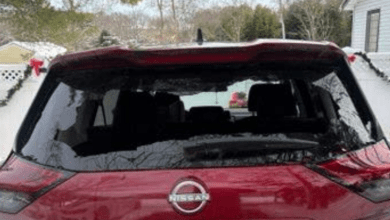 Nissan Rogue drivers launch lawsuit over car’s alleged spontaneously shattering rear windows Nissan Rogue drivers launch lawsuit over car’s alleged spontaneously shattering rear windows