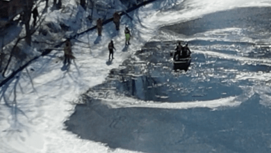 Goose hunter, 23, dies trying to save his dog after it fell through ice Goose hunter, 23, dies trying to save his dog after it fell through ice