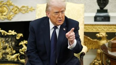 Trump plans to build a 100K-seat stadium near White House to host a UFC fight on his birthday Trump plans to build a 100K-seat stadium near White House to host a UFC fight on his birthday