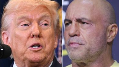 Joe Rogan claims Trump started the war in Iran to distract Americans from the Epstein files Joe Rogan claims Trump started the war in Iran to distract Americans from the Epstein files