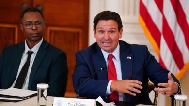 Ron DeSantis floats a new solution to tackle long airport lines: Get rid of the TSA altogether Ron DeSantis floats a new solution to tackle long airport lines: Get rid of the TSA altogether