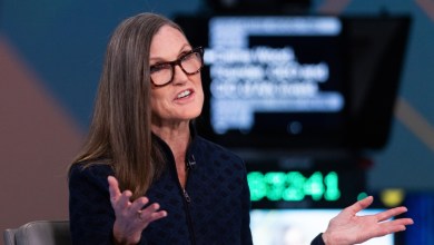 Cathie Wood buys million of tumbling tech stock Cathie Wood buys million of tumbling tech stock