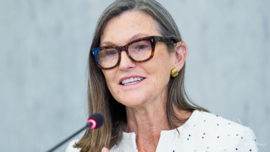 Cathie Wood sends blunt message after Bitcoin crashes Cathie Wood sends blunt message after Bitcoin crashes