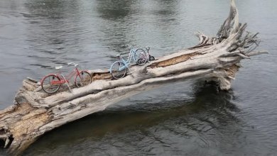 Montana town perplexed by mystery of three bikes on a log Montana town perplexed by mystery of three bikes on a log