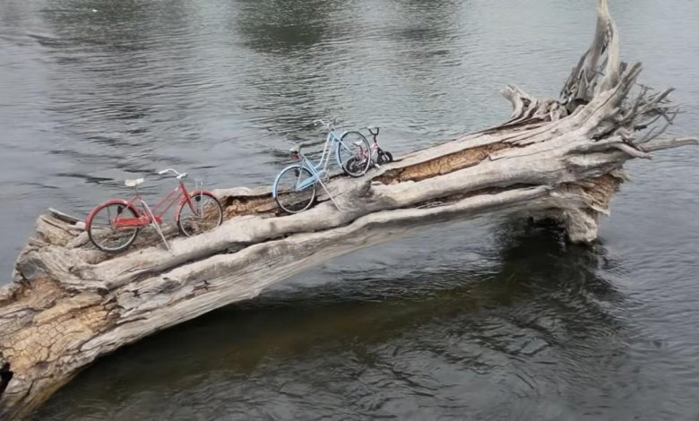 Montana town perplexed by mystery of three bikes on a log Montana town perplexed by mystery of three bikes on a log