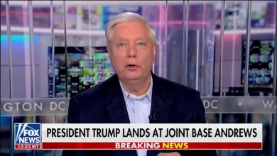 Bloodthirsty Senator Lindsey Graham’s Three-Day Disney Extravaganza Exposed Bloodthirsty Senator Lindsey Graham’s Three-Day Disney Extravaganza Exposed