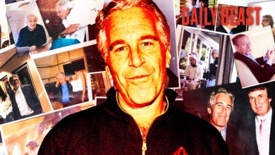 Trump’s DOJ Shredded ‘Huge’ Pile of Epstein Docs After Death Trump’s DOJ Shredded ‘Huge’ Pile of Epstein Docs After Death