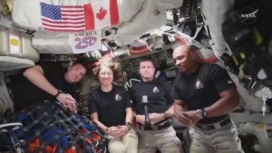 Trump Crumbles After Call to Artemis II Astronauts Hits Awkward Silence Trump Crumbles After Call to Artemis II Astronauts Hits Awkward Silence